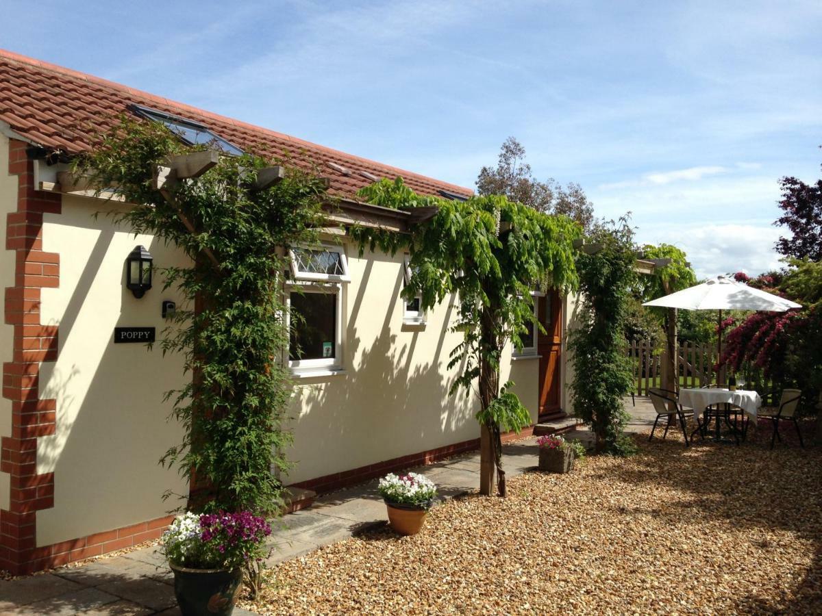 Ashford House B&B Wells Extérieur photo